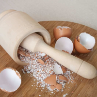 Can Dogs Eat Egg Shells? Pros and Cons + 2 Best Recipes ... image
