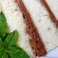 CAKE WITH CHOCOLATE ICING RECIPES
