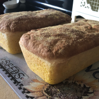English Muffin Bread Recipe | Allrecipes image