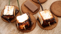 MARSHMALLOWS ON BROWNIES RECIPES