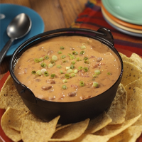 ZESTY BEAN AND CHEESE DIP RECIPES