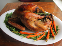 Chef John's Roast Turkey and Gravy - Allrecipes image