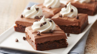 FRENCH SILK BROWNIES RECIPES