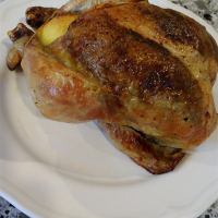 BEST OVEN ROASTED CHICKEN RECIPE RECIPES