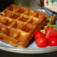WAFFLE RECIPE FOR ONE PERSON RECIPES