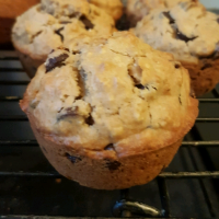 Oatmeal Chocolate Chip Muffins Recipe | Allrecipes image