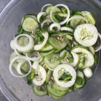 Grandma's Cucumber and Onion Salad Recipe | Allrecipes image