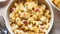BAKED SHELL MAC AND CHEESE RECIPES