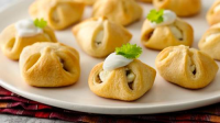 CRESCENT ROLL APPETIZERS WITH CREAM CHEESE RECIPES