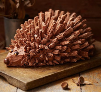 Hedgehog cake recipe - BBC Good Food image