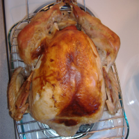 BEST TEMP TO COOK A TURKEY RECIPES