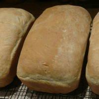 BREAD MAKING WITH YEAST RECIPES