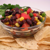 TOSTITOS SCOOPS APPETIZERS RECIPES