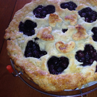 Grandma's Blueberry Pie Recipe | Allrecipes image
