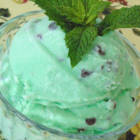 Easy Mint Chocolate Chip Ice Cream Recipe | Allrecipes image