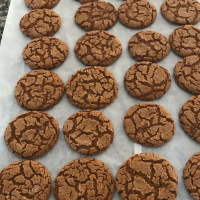 WHAT ARE GINGER SNAPS RECIPES