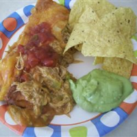 PULLED PORK ENCHILADAS WITH GREEN SAUCE RECIPES