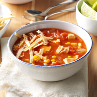 SPICY CHICKEN VEGETABLE SOUP RECIPES