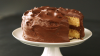 FLUFFY VANILLA CAKE RECIPE RECIPES