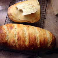 Pain de Campagne - Country French Bread Recipe | Allrecipes image