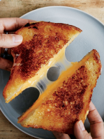 GRILLED CHEESE ON SKILLET RECIPES