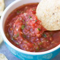 HOMEMADE SALSA INGREDIENTS RECIPES