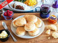 GOLD MEDAL SELF RISING FLOUR BISCUITS RECIPES