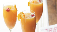 COLD APPLE CIDER PUNCH RECIPE RECIPES