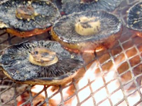 Grilled Portobello Mushrooms Recipe - Food Network image