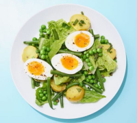 BOILED EGG LUNCH RECIPES