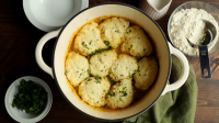 DUMPLINGS OUT OF BISQUICK RECIPES