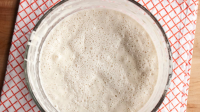 How To Make Sourdough Starter from Scratch | Kitchn image