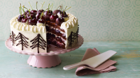 CHOCOLATE CHERRY CAKE PIE FILLING RECIPES