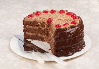 AUTHENTIC GERMAN CHOCOLATE CAKE RECIPES