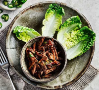 Slow cooker barbacoa beef recipe - BBC Good Food image