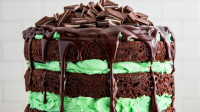MINT CHOCOLATE MOUSSE CAKE RECIPES