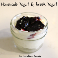 After School Snack Science: Making Homemade Yogurt, Gre… image
