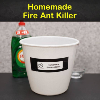 12 Do-It-Yourself Fire Ant Killer Recipes that Work - Tips Bulletin image