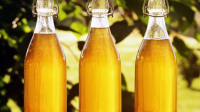 One Gallon Homemade Mead Recipe - Simple And Delicious image