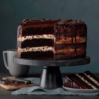 CAKE WITH CHOCOLATE GANACHE RECIPES