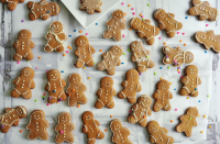 The Most Wonderful Gingerbread Cookies Recipe image