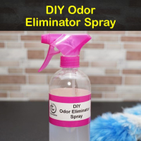 10 Creative DIY Odor Eliminator Remedies and Recipes image