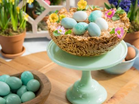 Easter Egg Nest Cake Recipe - Food Network image