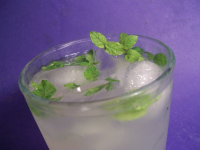 MINT SIMPLE SYRUP FOR MOJITOS RECIPES