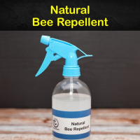 Keeping Bees Away - 17 Natural Bee Repellent Tips and Recipes image