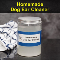 5 Homemade Dog Ear Cleaner Recipes - Tips Bulletin image