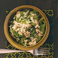 SPINACH AND RICE RECIPES RECIPES