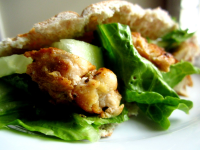 Chicken and Hummus Wraps Recipe - Food.com image