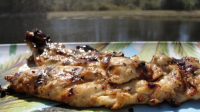 Grilled Italian Chicken Breasts Recipe - Food.com image
