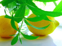 Lemon Verbena Lemonade Recipe - Food.com image